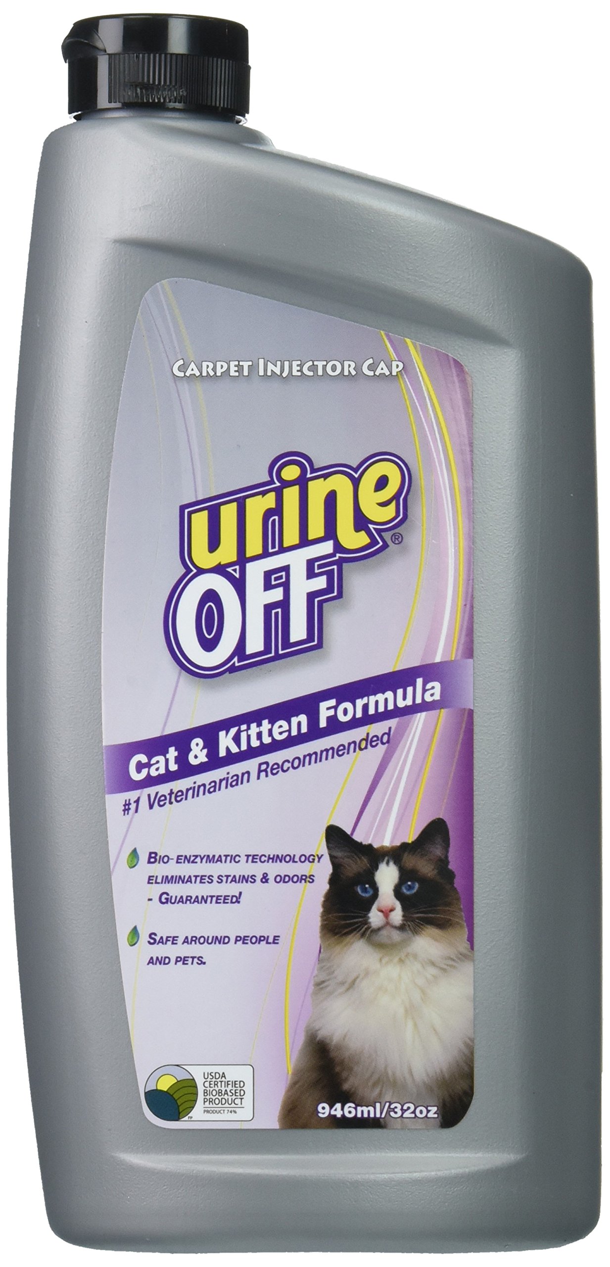 buy kitten formula
