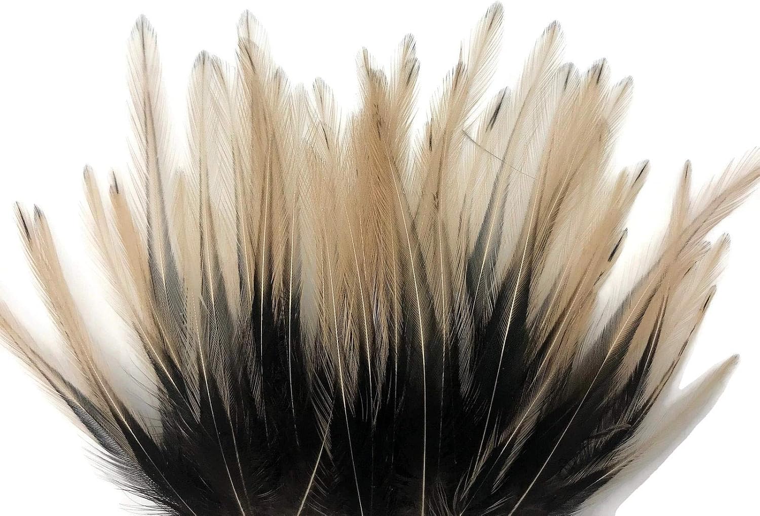 10 Pieces - 2-4" Tan Dyed BLW Laced Short Rooster Cape Whiting Farm Feathers Craft Supply | Moonlight Feather
