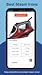 Best Steam Irons