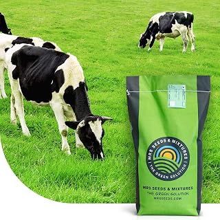MRS Prairie permanente BG3 - Semences pour prairie - 15 kg pour 3.000 m2-100% ray-grass anglais - Convient au pâturage intensif - Idéal pour la production de foin et de fourrage