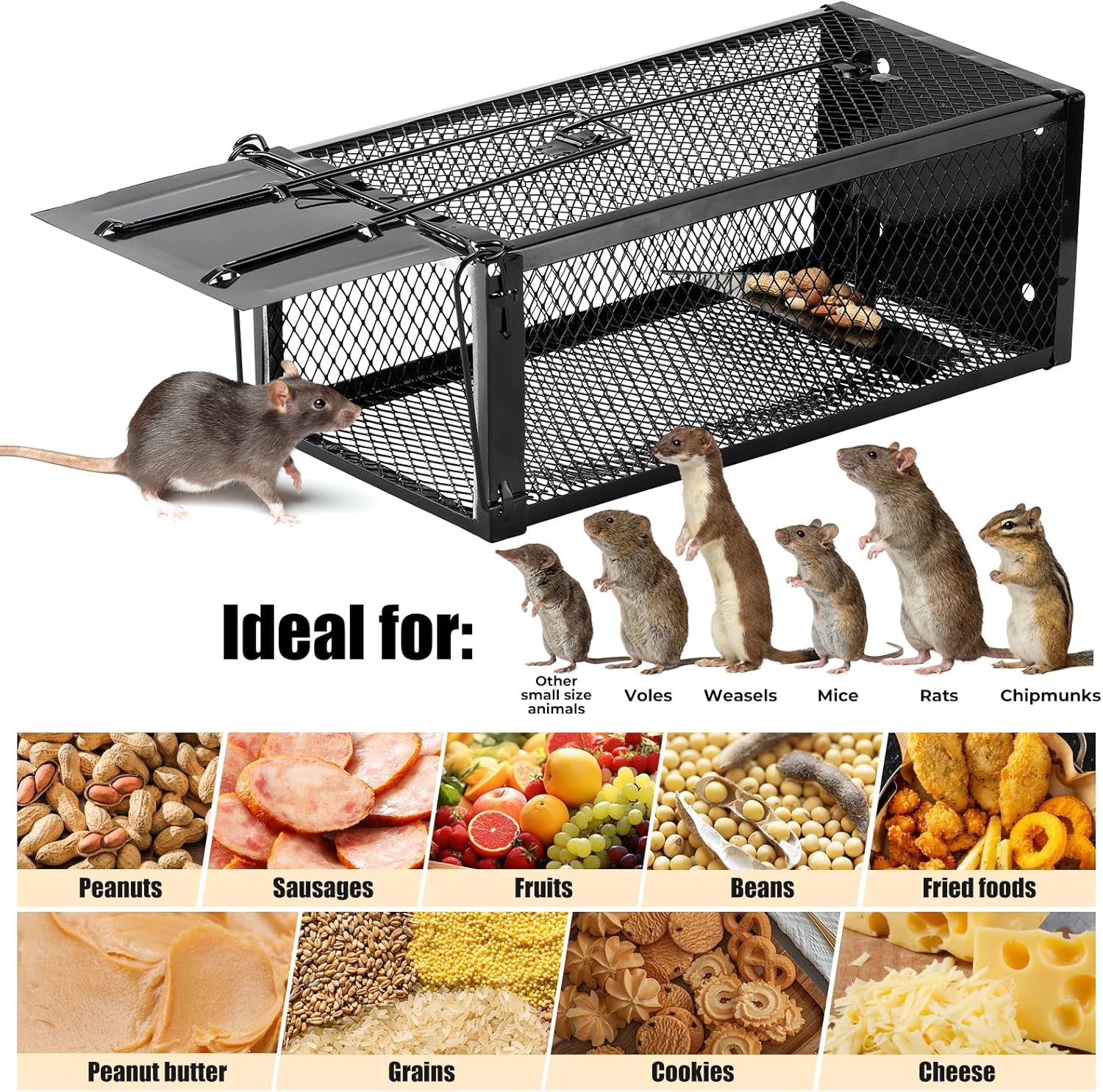 2 Pack Humane Rat Traps 12.5"x5.5"x4.5", Reusable Mouse Traps for Indoor/Outdoor Use, No-Kill Live Capture for Chipmunks, Squirrels, Rats, Mice