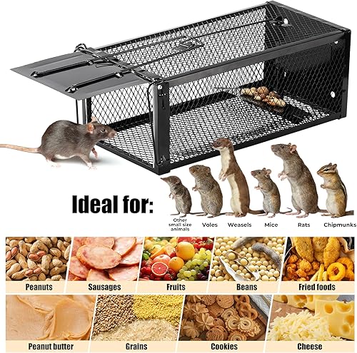 Miniatura 5 de Paquete de 2 trampas humanas para ratas de 12.5 x 5.5 x 4.5 pulgadas, trampas reutilizables para uso en interiores y exteriores, captura en vivo sin