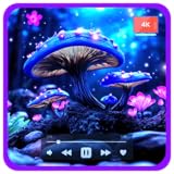 魅惑の妖精キノコ - 幻想的な森の光と魔法の森の雰囲気、スリープタイマー付き