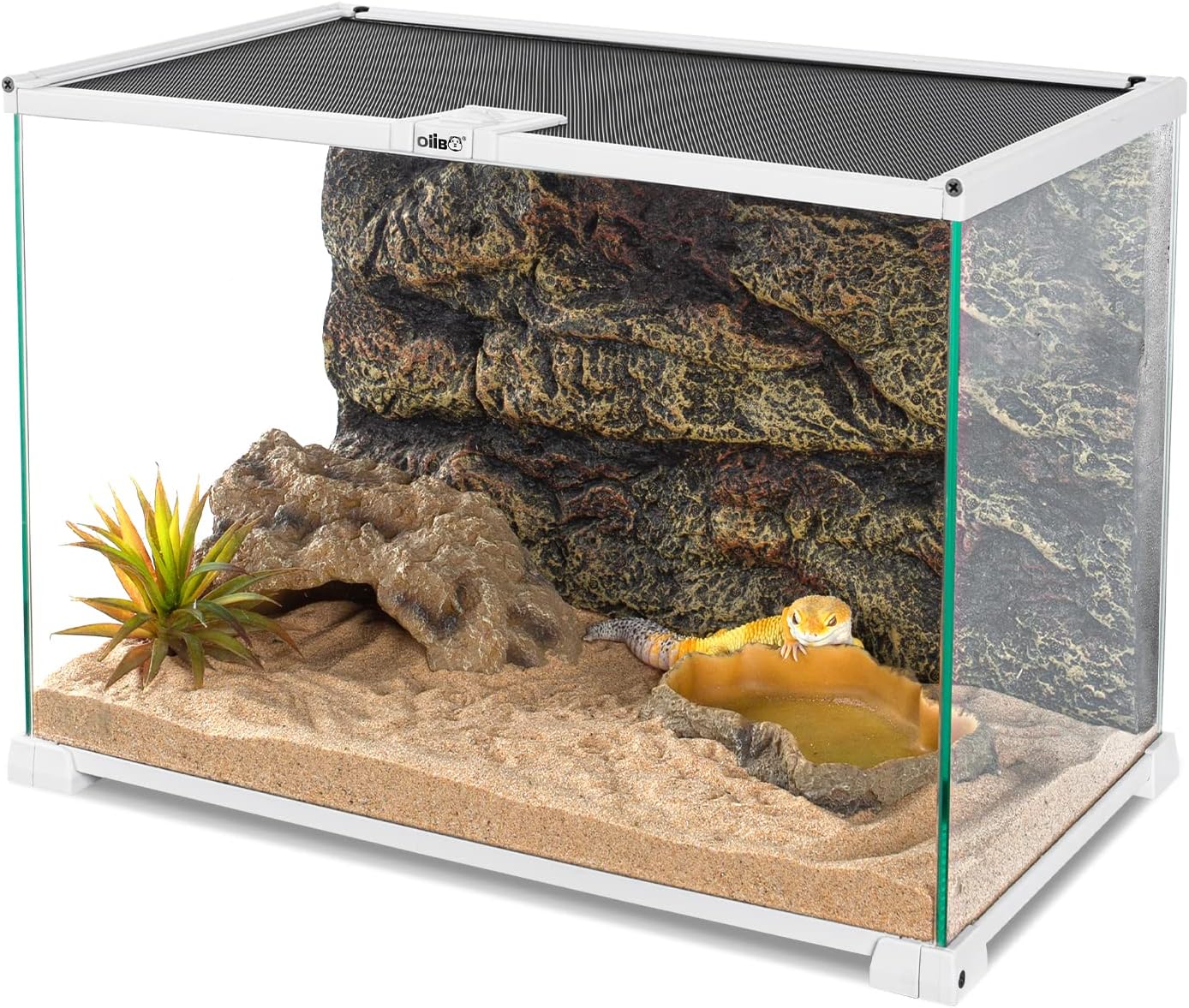 OIIBO 15 Gallon Glass Reptile Terrarium Tank, 20" X 12" X 14" Medium Reptile Terrarium with Sliding Screen Top for Gecko, Hermit Crab,…