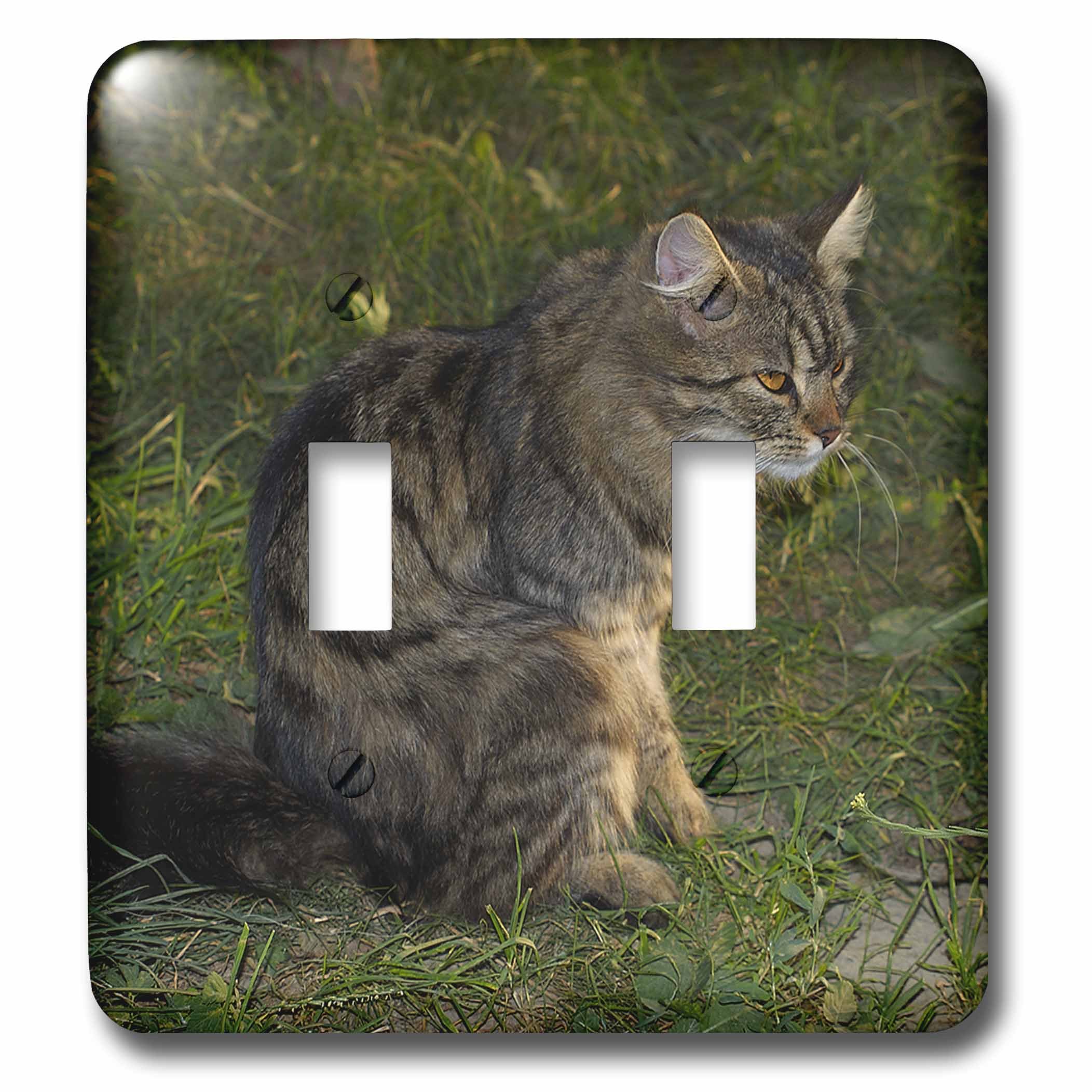 Interrupteur double chat assis pour décorer une chambre d'enfant