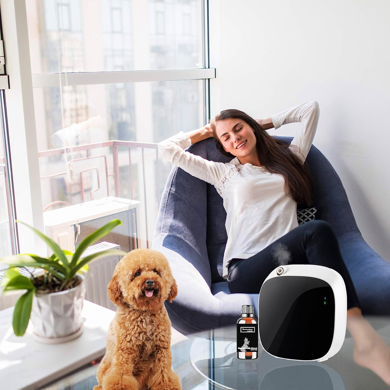 Wandering Breeze Essential Oil Inspired by W Hotel for Diffusers, Pure Hotel Diffuser Oil, Sandalwood, Cedarwood and Musk, Home Luxury & Hotel Scent - 30ML - Image 6