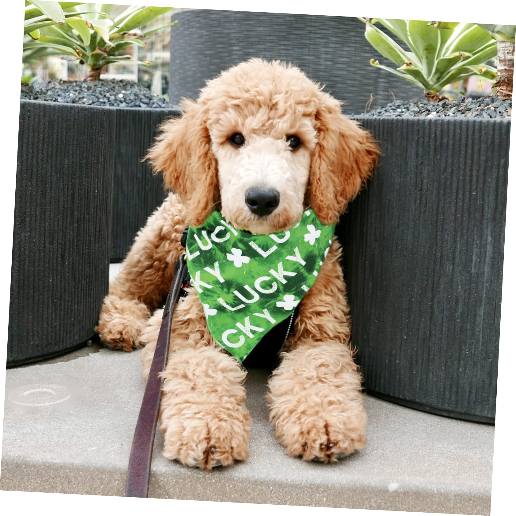 Angoily 12pièces Bandanas pour Chiens Écharpes Créatives Et Adorables pour Animaux De Compagnie Accessoires Chics pour Chiens Et Chiots Idéales pour Événements Spéciaux Et