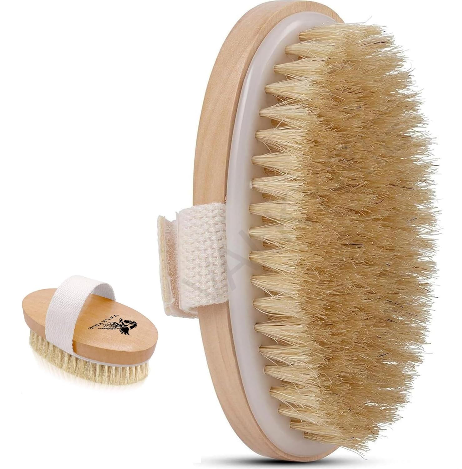 VALKYRIE Dry Skin Body Brush Improves Skin’s Health and Beauty With Natural Bristle | Remove Dead Skin and Toxins, Cellulite Treatment, Exfoliates, Stimulates Blood Circulation