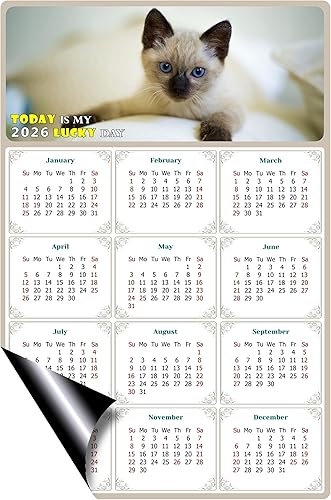 Miniatura 2 de Calendario magnético 2024  Imanes del calendario  Today is my Lucky Day  Resistente a la decoloración, desgarros y agua  Temático de gato 013 (5.25