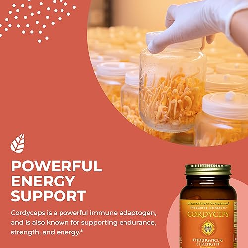 Miniatura 4 de HEALTHFORCE SUPERFOODS Integrity Extracts Cordyceps  90 VeganCaps
