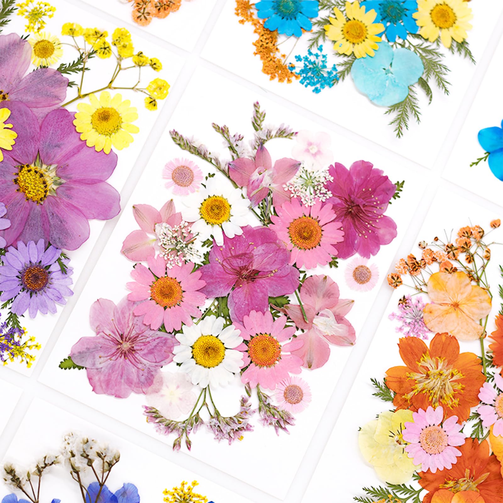 Tłoczone kwiaty, naturalne, suszone kwiaty, różowe kwiaty z żywicy, prawdziwe prasowane kwiaty do scrapbookingu, DIY, rzemiosła artystycznego, żywicy epoksydowej, artykuły jubilerskie, 44 szt