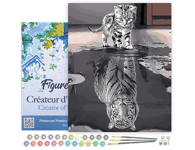 Figured'Art Pintar por Numeros Adultos con marco El Reflejo Del Gato