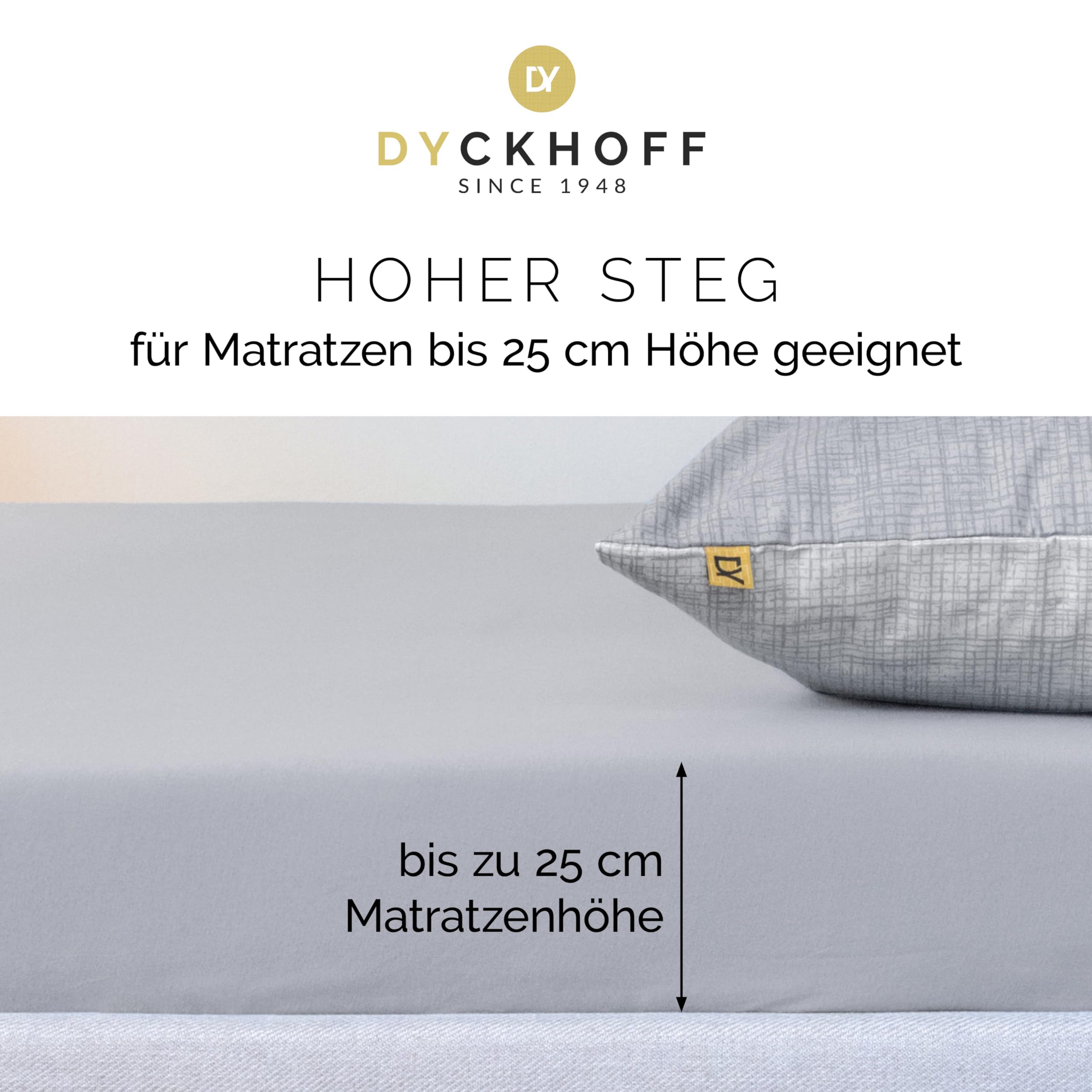 Dyckhoff Spannbettlaken Jersey 95% Baumwolle, Silber, 180-200x200cm