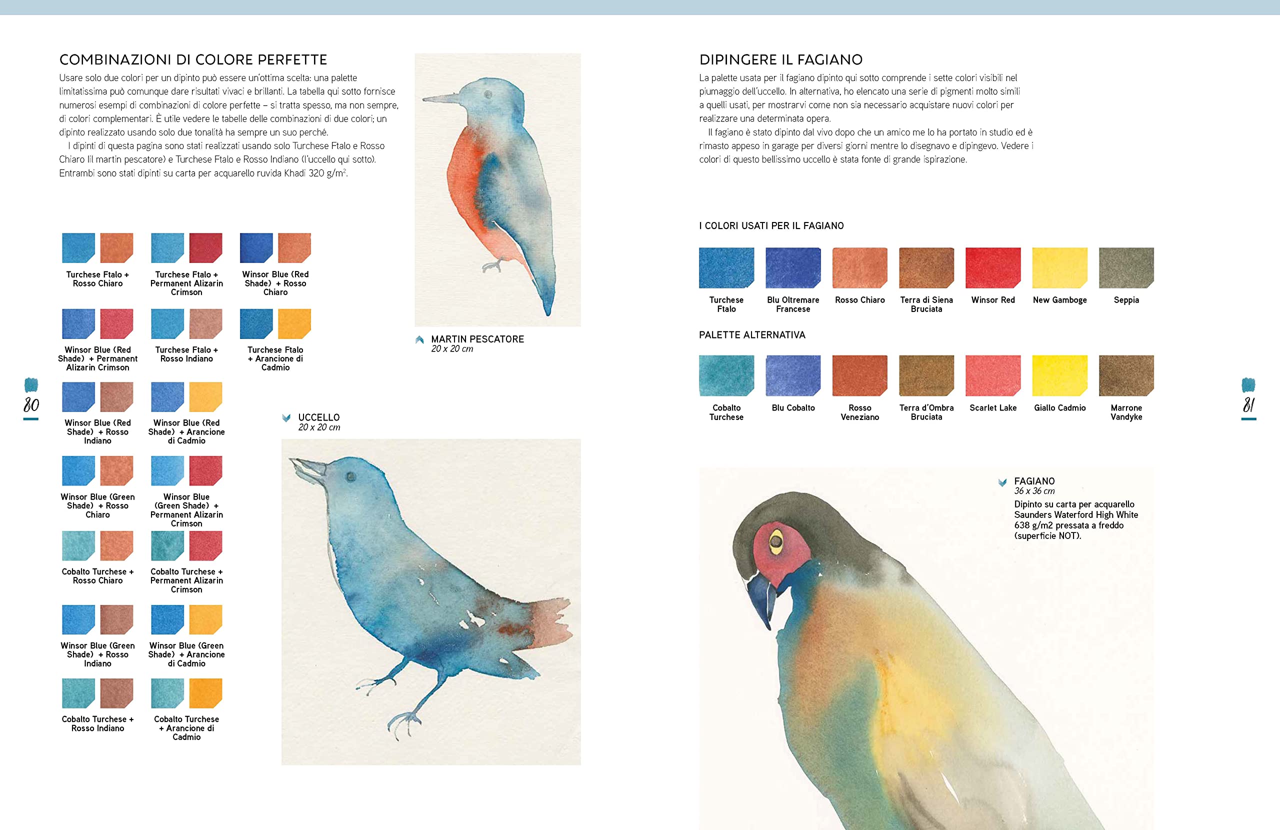 Manuale pratico dei colori nell'acquerello per creazioni artistiche. Ediz. a colori