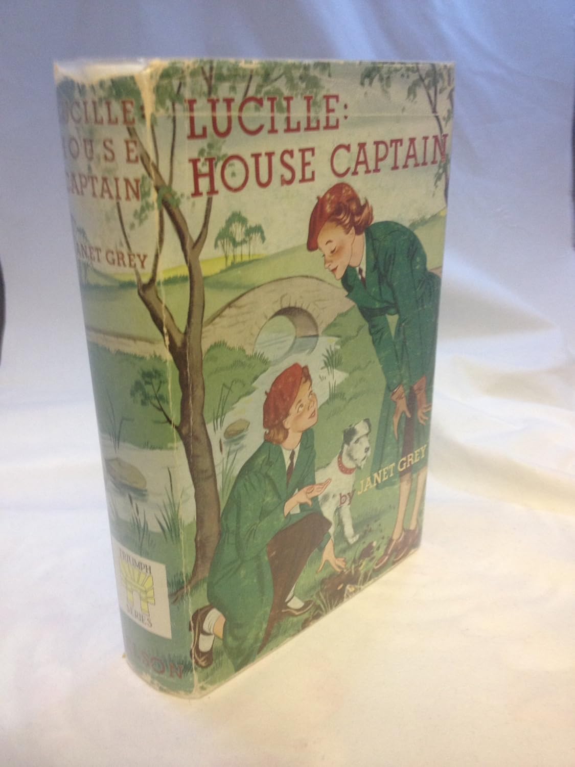Lucille House Captain Grey Books