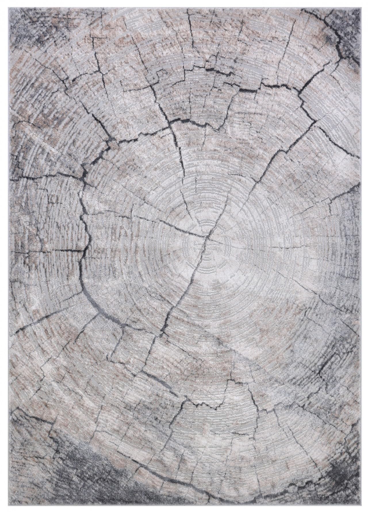 Mazovia Groß Teppich Wohnzimmer 200x300cm Anthrazit Grau Baumstamm Weich