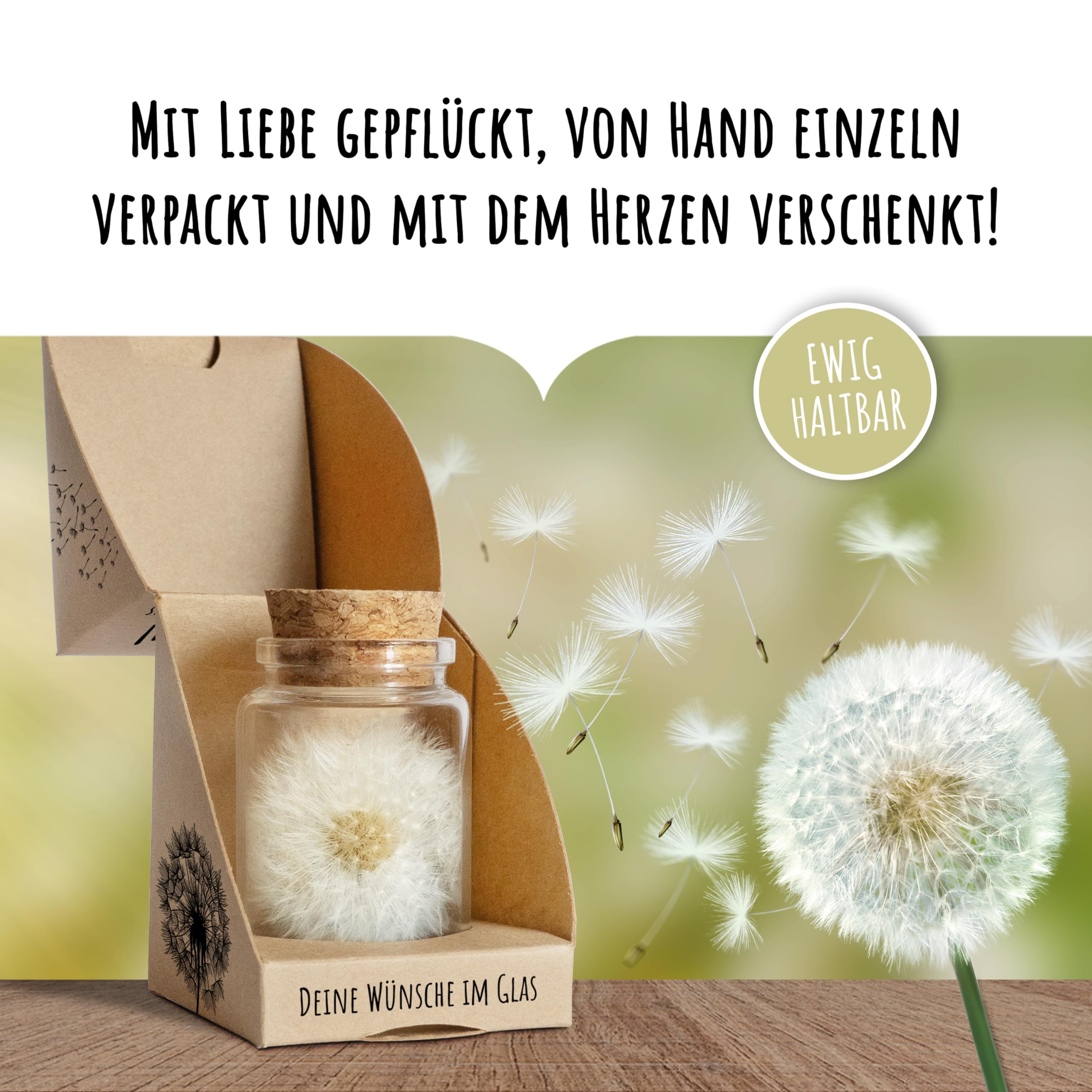 Bolson Wunscherfüller - 10x echte Pusteblume im Glas mit Geschenkbox - Wunschblume für deine Wünsche - handgefertigt in Deutschland - perfekte Geschenkidee für Geburtstag, Hochzeit, Abschluss
