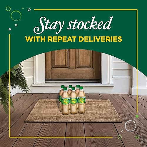 Miniatura 7 de Ginger Ale, paquete de 6, botellas de 0.5L