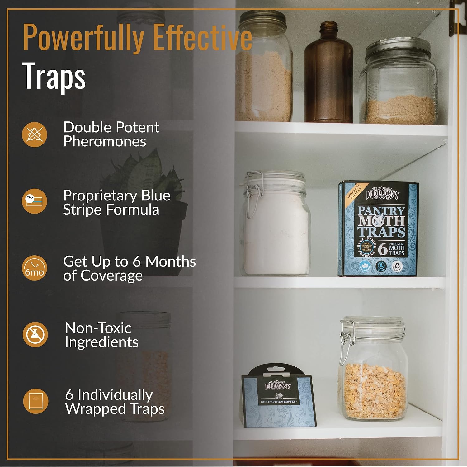 COMO ELIMINAR POLILLAS DE LA COCINA - TIENDA PLAGAS ONLINE