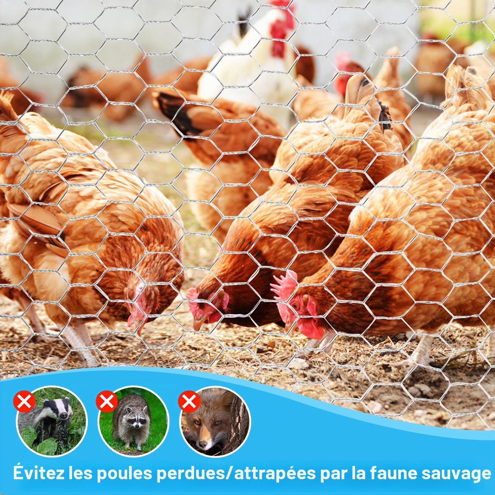 NVIYAM Grillage à poules, lapins, potager 0,4 x 6 m, Grillage Hexagonal Galvanisé, Treillis Métallique, grillage galvanisé, Grillage Voliere avec Pince Coupante et Gants, pour Poulailler, jardinage