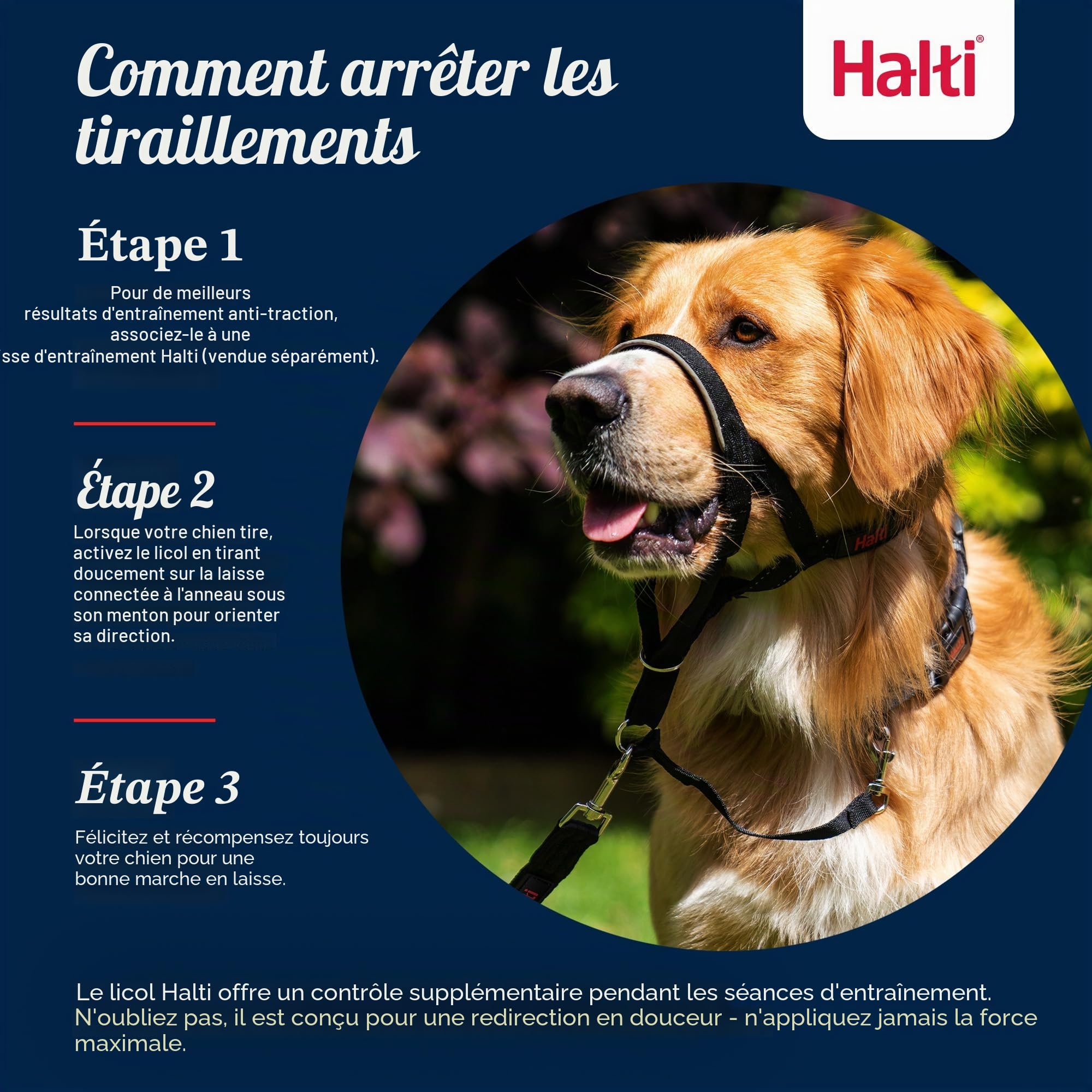 Licol HALTI - pour Que Votre Chien arrête de Tirer sur sa Laisse, Partie entièrement matelassée sur Le museau, Colliers Anti-Traction pour Chiens de Taille Moyenne (Taille 3, Brun Noisette)