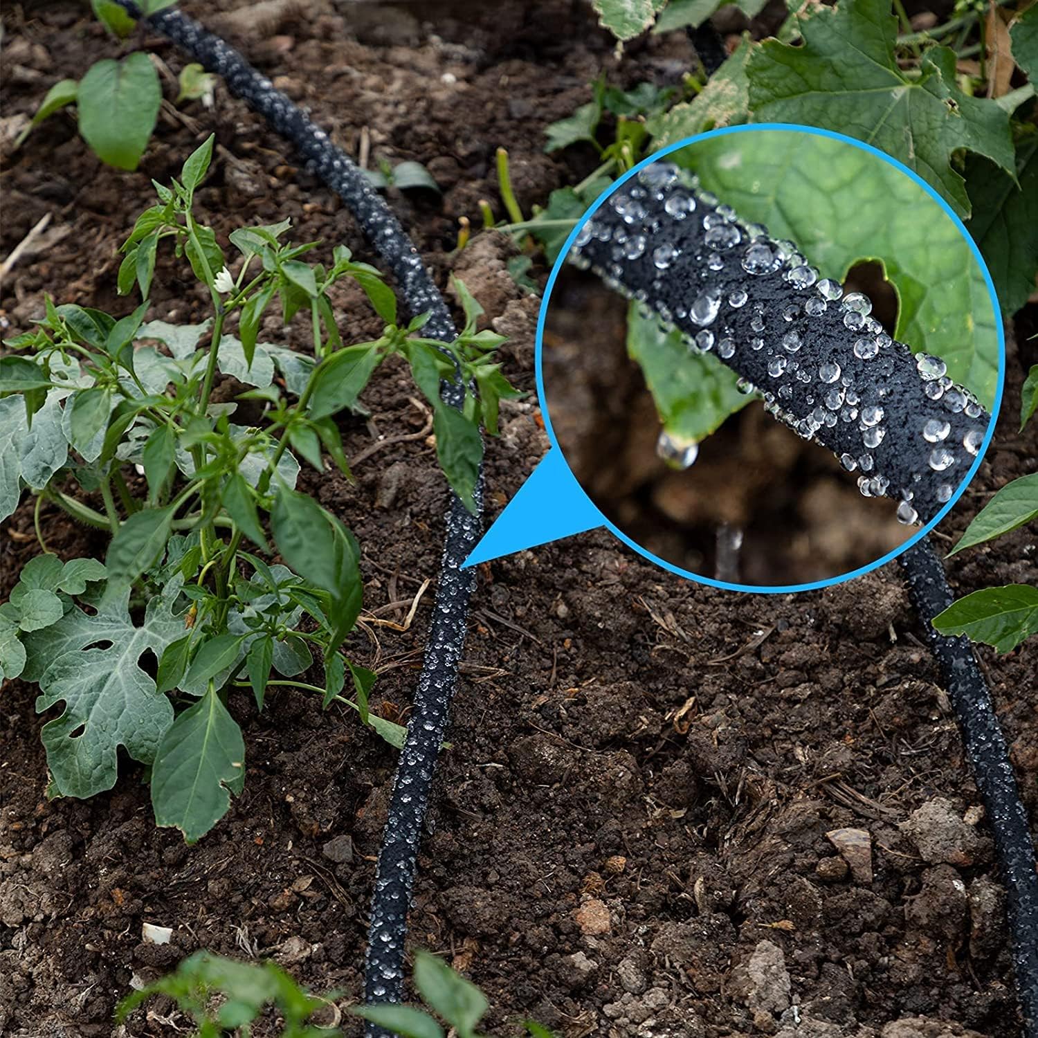 Watex Home Irrigation, Soaker Hose, 50 ft. Weeping hose, water-efficient irrigation, saving water by 60%