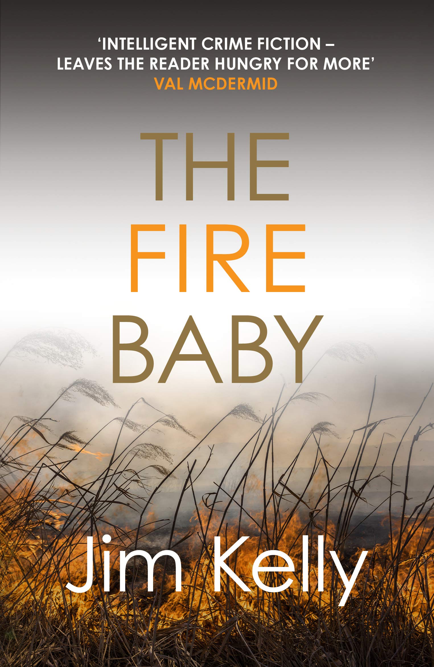 The Fire Baby: Secrets and murder flourish in Cambridgeshire (Dryden Mysteries Book 2)