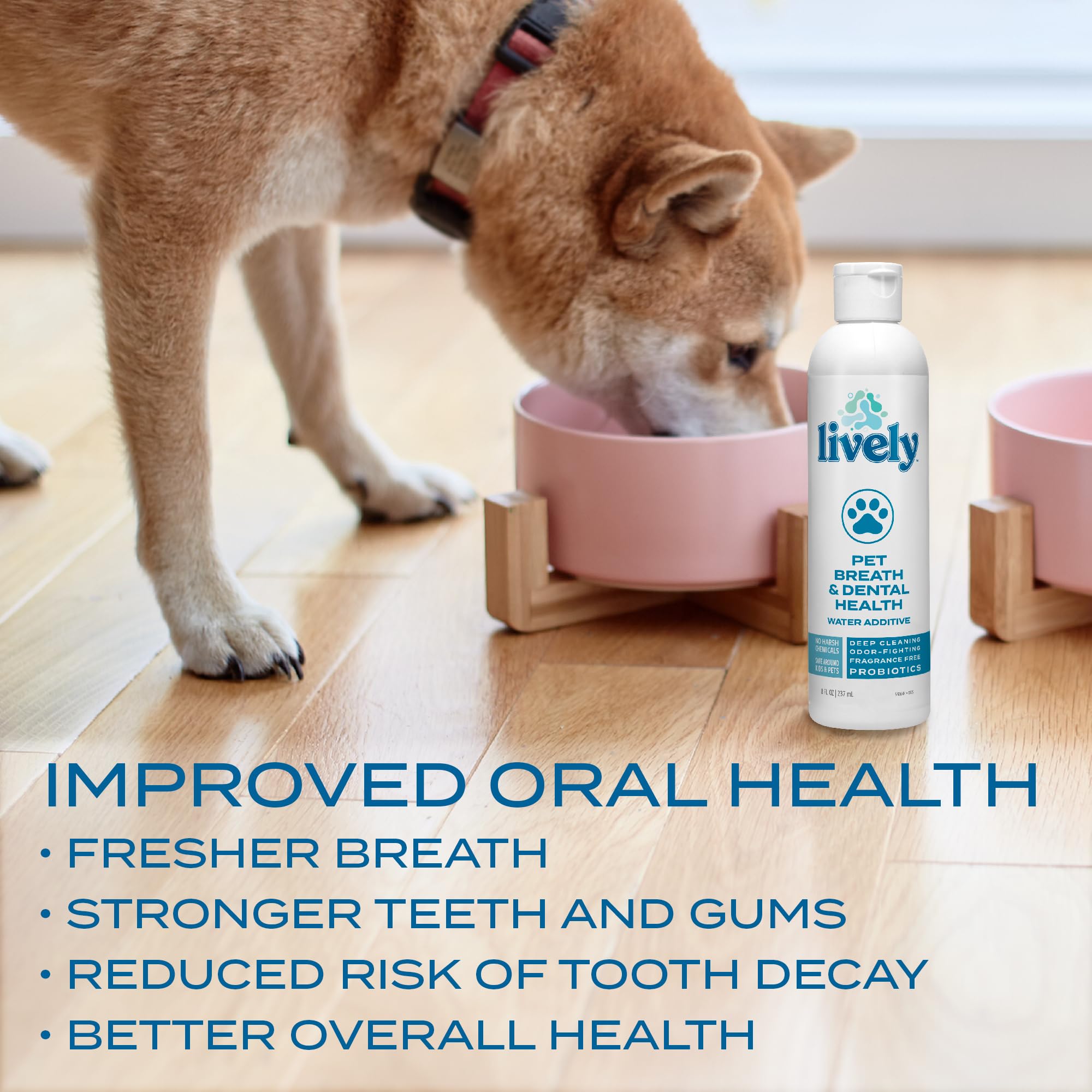 Lively Pet Care Essentials Bundle – Dental Health Water Additive and Stain & Odor Remover