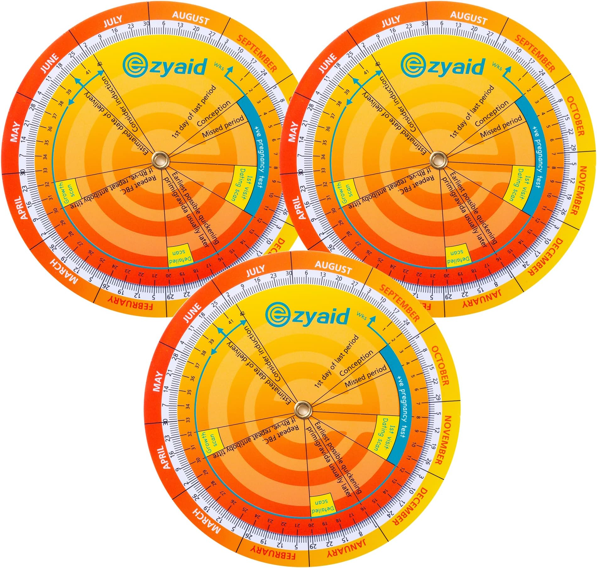 Premium Pregnancy Wheel 3pcs