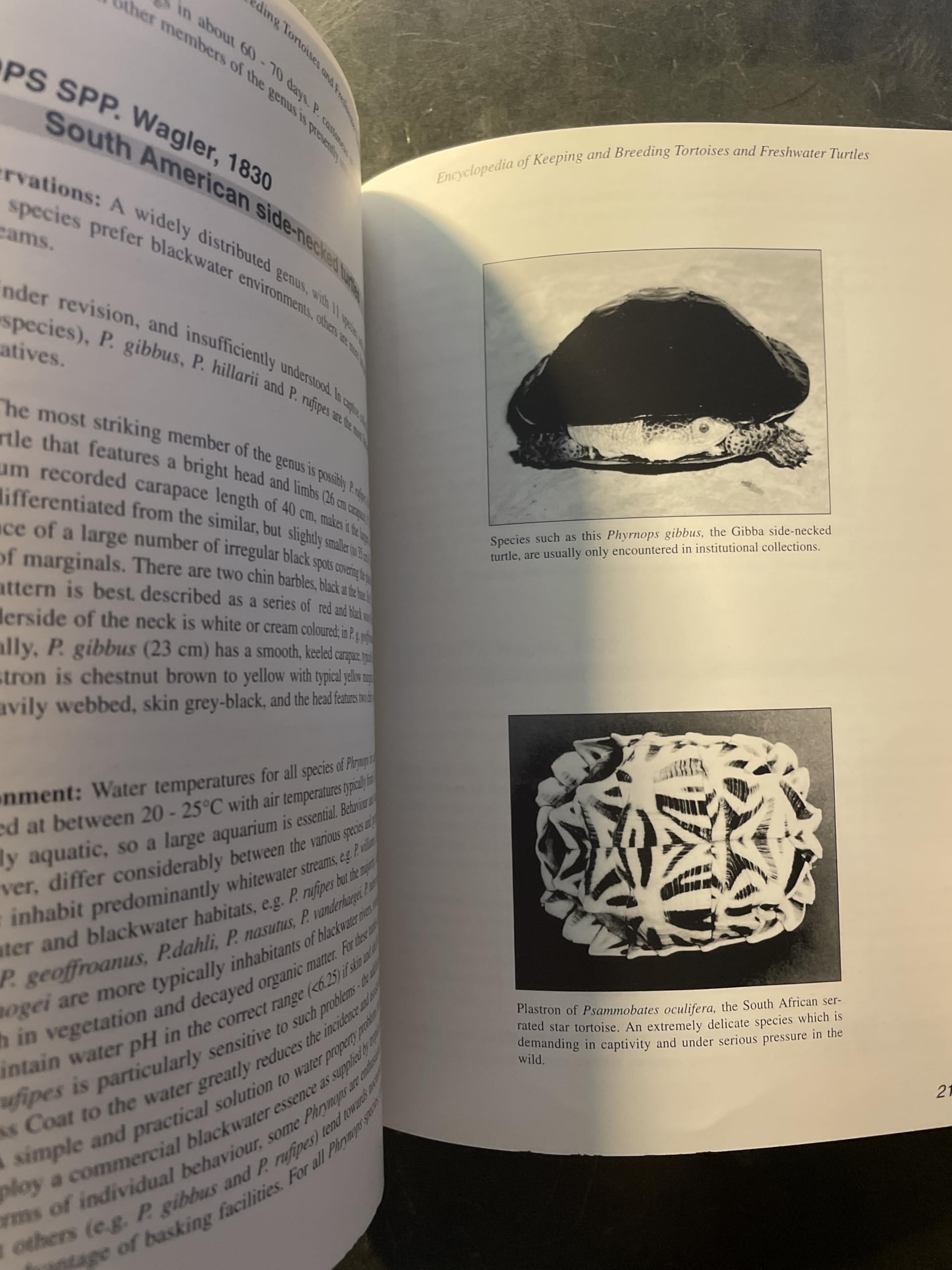Practical Encyclopedia of Keeping and Breeding Tortoises and Freshwater Turtles