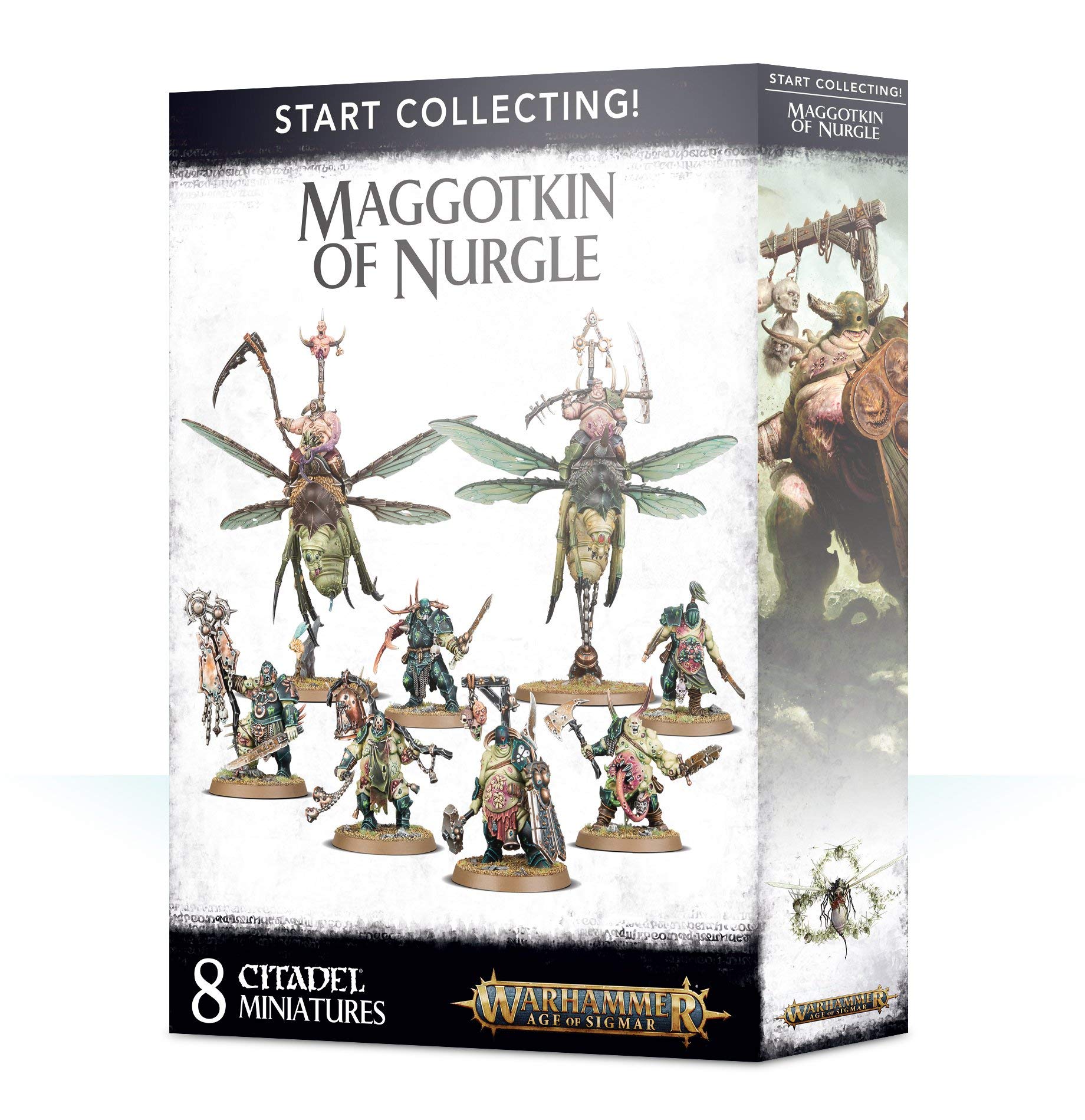 Amazon.com: Warhammer AoS & 40k - Start Collecting! Maggotkin of