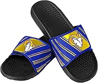 Vista 65 de FOCO mens NFL Team Logo Legacy Sport Slide Sandals