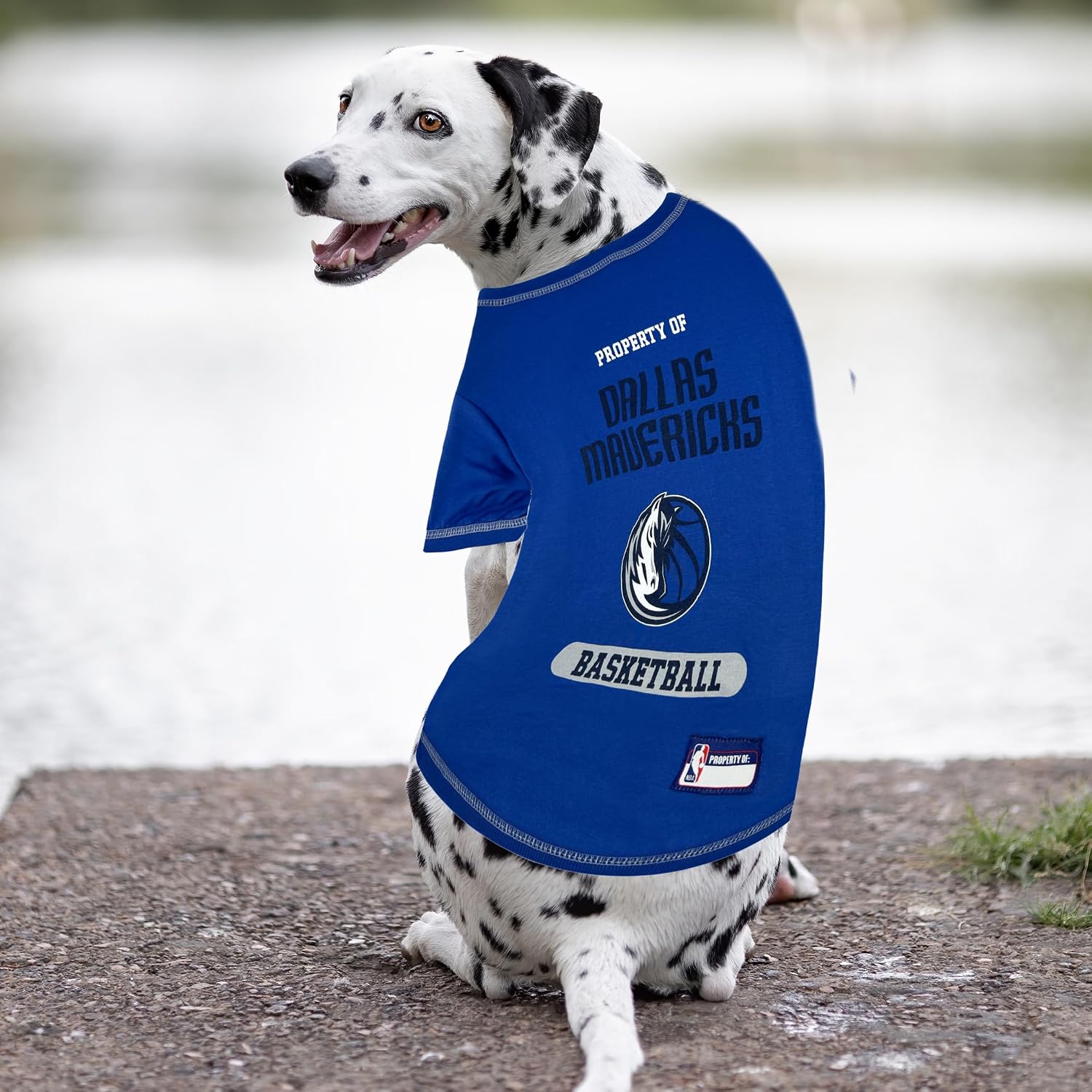 Pets First Cute Dog T-Shirt, X-Large - NBA Dallas Mavericks Dog & Cat Shirt with Basketball Team Logo. Comfortable & Fashionable Yet Durable Pet Outfit