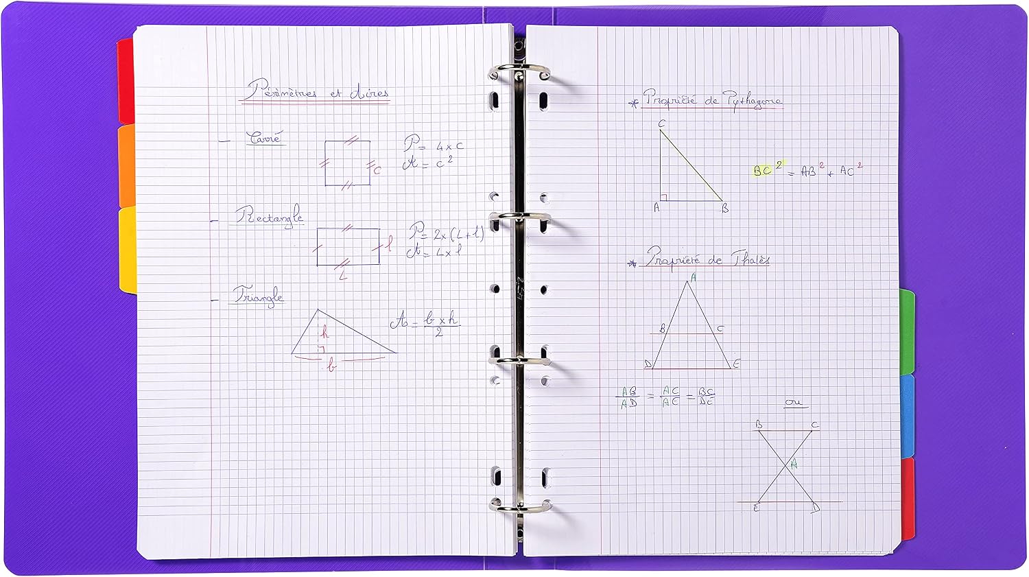Exacompta Dividers, A4, 160gsm, 6 Part - White with Coloured tabs
