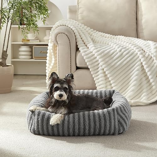 Miniatura 13 de MIXJOY Camas para perros pequeños y gatos, cama lavable para perros con funda extraíble, cama suave y relajante para gatos de interior, sofá cama