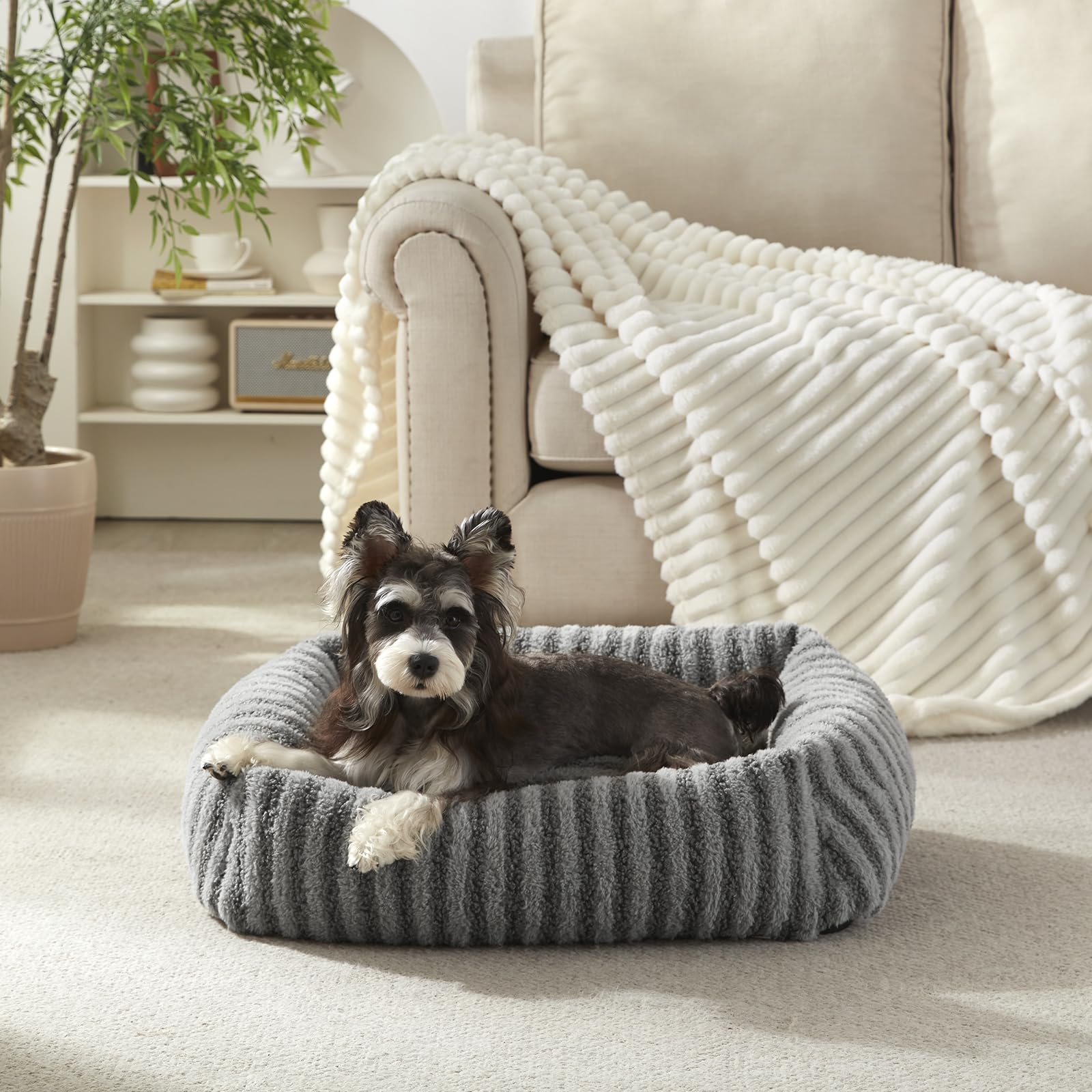 MIXJOY Medium Dog Beds for Medium Sized Dog, Calming Warming Pet Beds, Washable Dogs Bed with Removable Cover, Rectangle Pet Bed with Non-Slip Bottom, 25"x21"x7", Grey