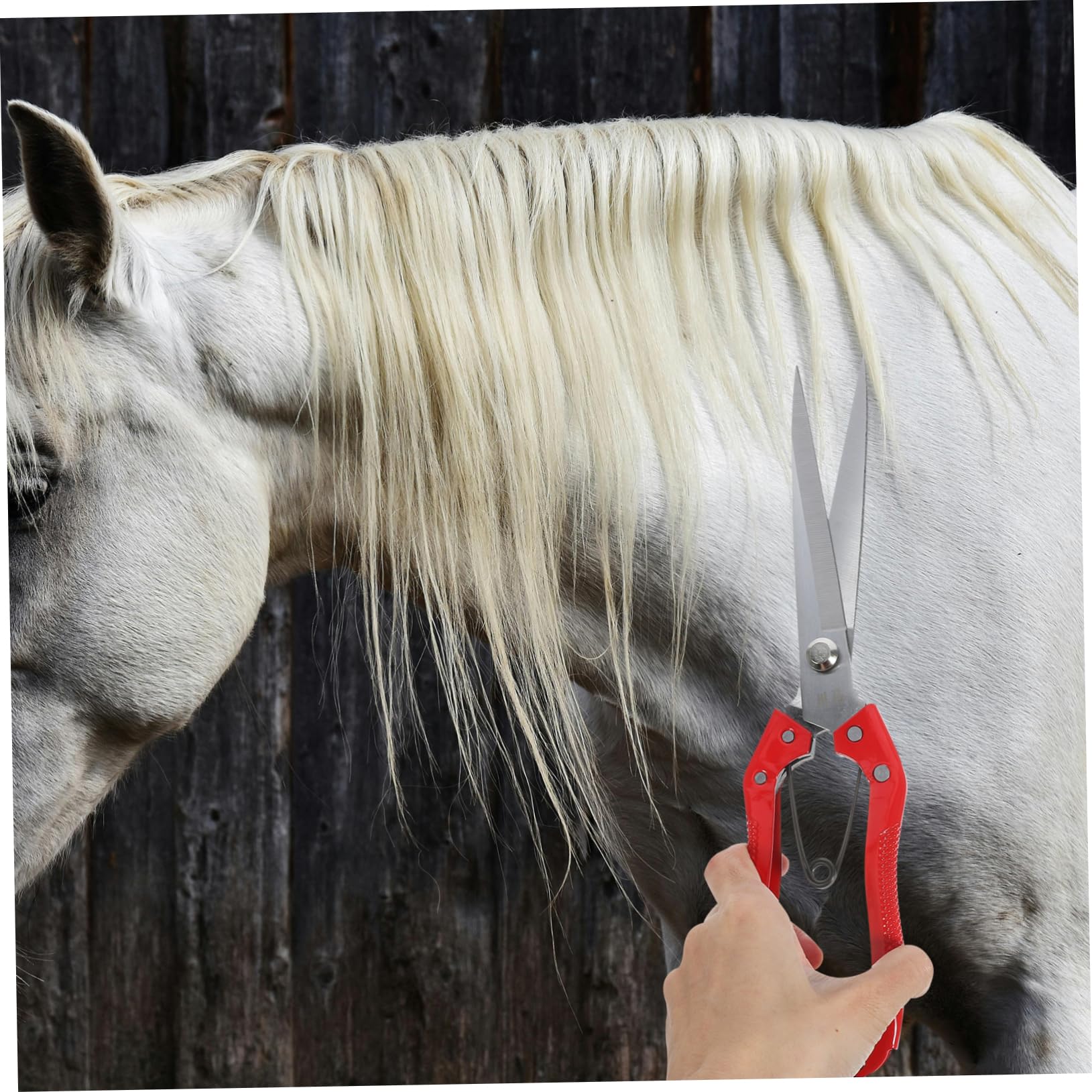 VANZACK 5piezas Cortadora De Lana Manual De Carbono Para Esquilar Ovejas Tijera Ergonómica Mango Cómodo Herramienta De Peluquería Animal Para Uso Granjas y Cuidado De Mascotas