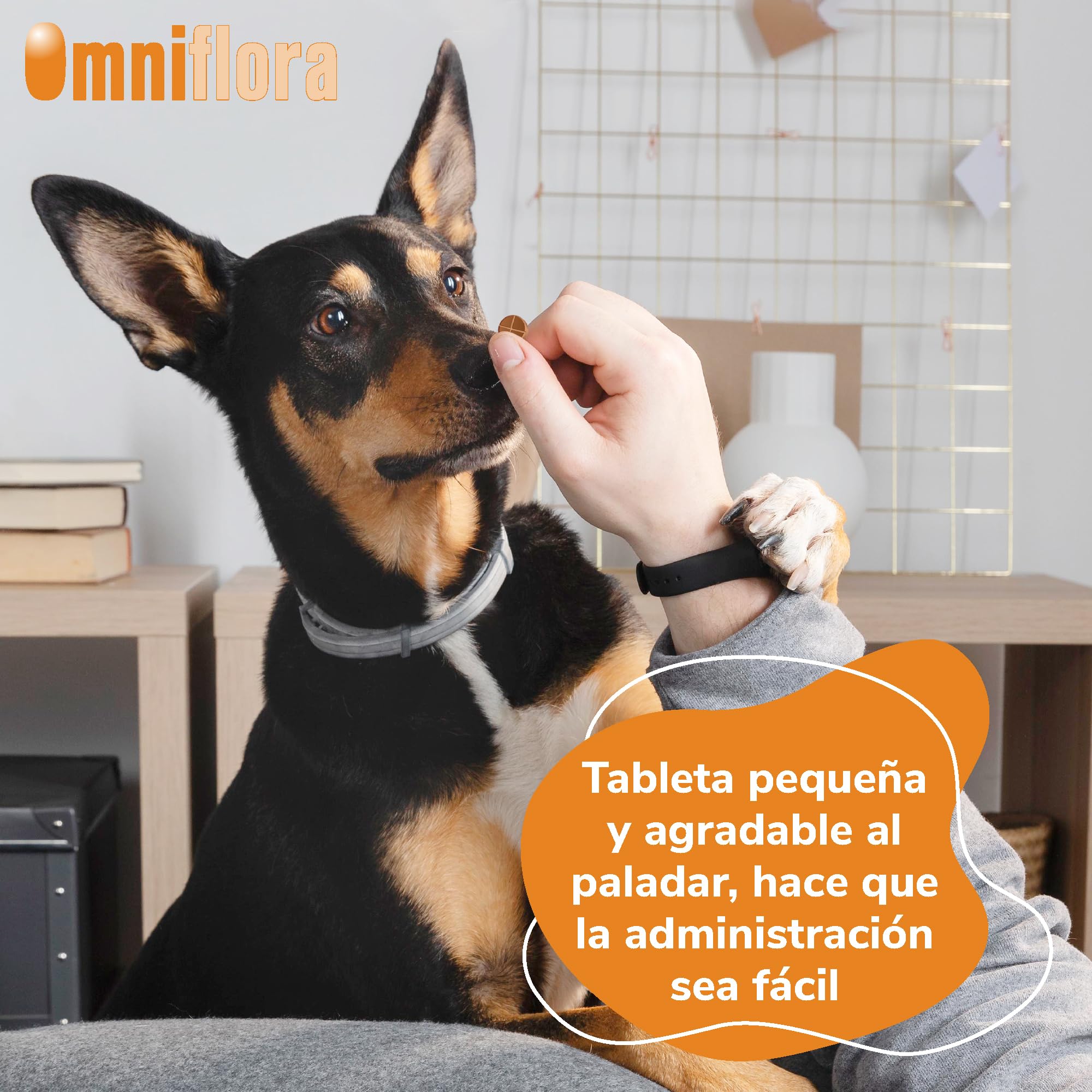 Omniflora Hifarmax - Prebiótico y Probiótico para Perros | Suplemento Digestivo con Probióticos para Perros | Apoyo Gastrointestinal | Complemento Alimenticio para la Flora Intestinal, 120 Comprimidos