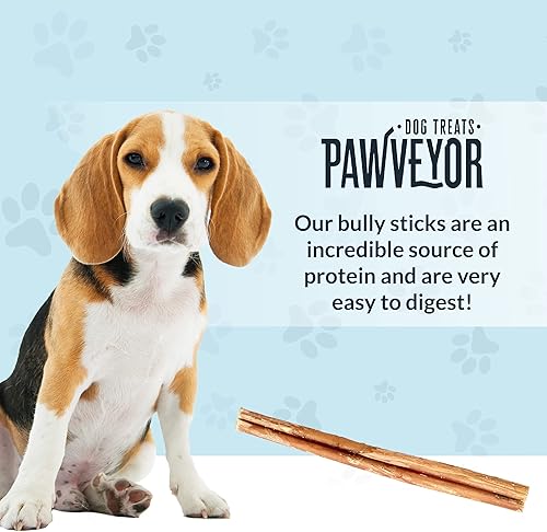 Miniatura 4 de Palitos de matón totalmente naturales de 12 pulgadas para perros grandes, paquete de 8 palitos de matón para perros grandes, con aroma natural, sin