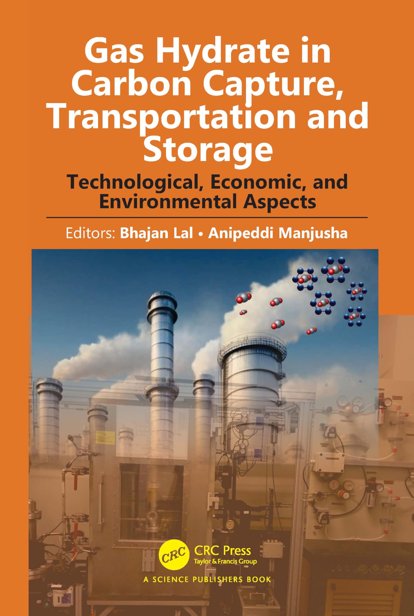 Gas Hydrate in Carbon Capture, Transportation and Storage by ... - 9781032726403