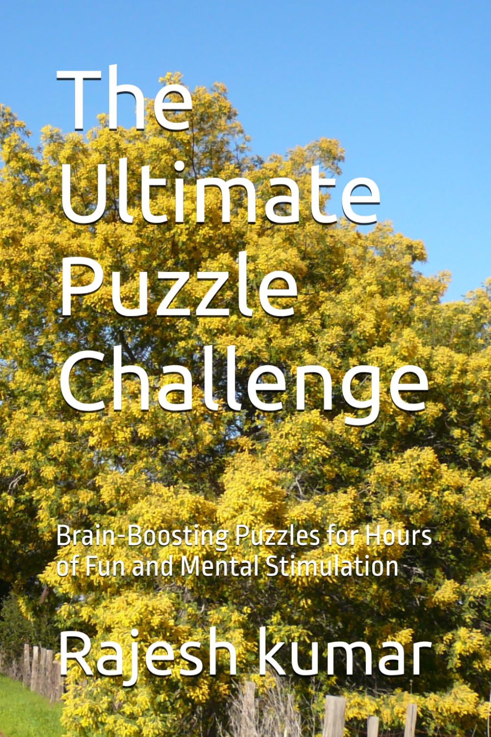 The Ultimate Puzzle Challenge: Brain-Boosting Puzzles for Hours of Fun and Mental Stimulation