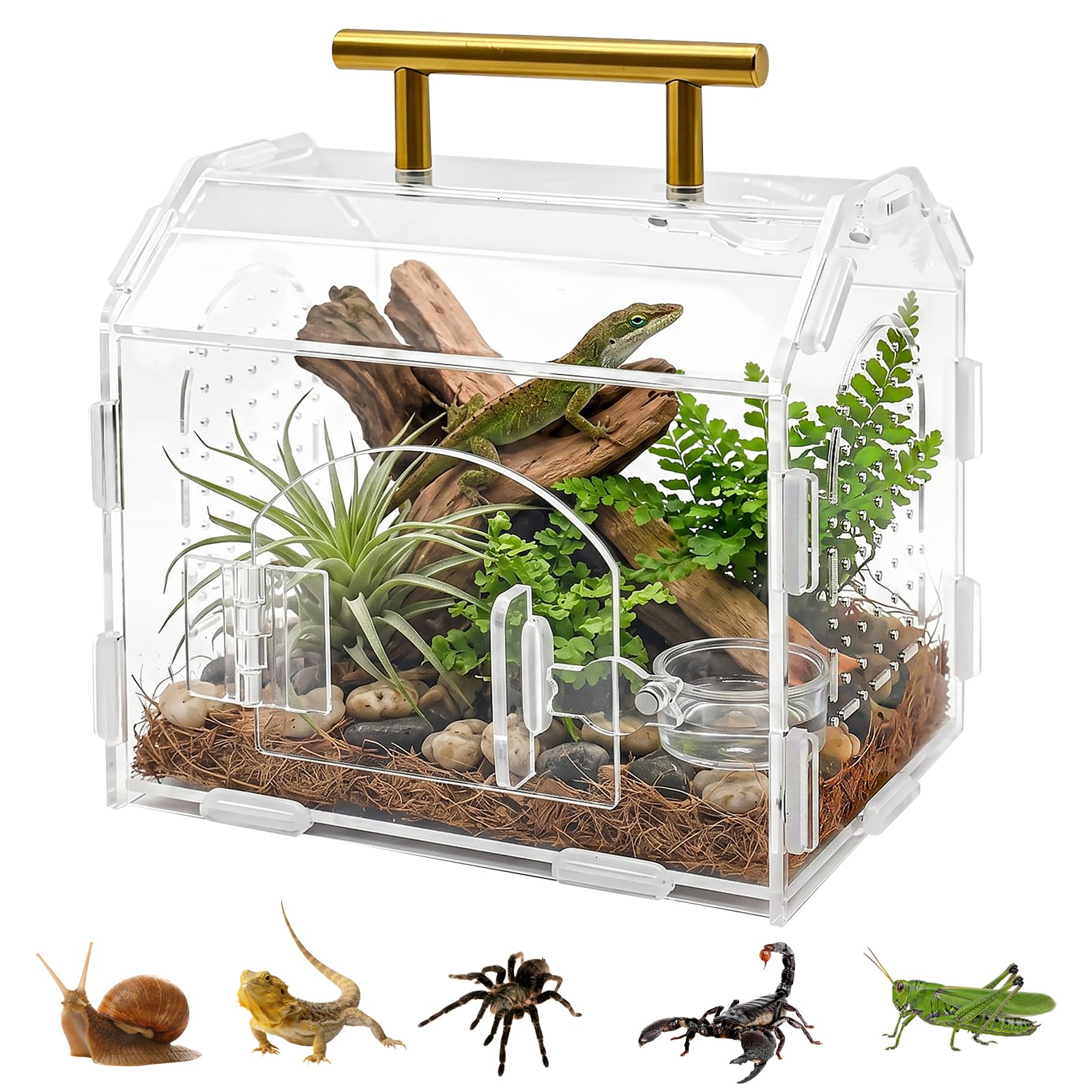 Terrarium dla gadów z akrylu, przezroczysta obudowa z otworami wentylacyjnymi i uchwytem, magnetyczne pudełko na karmienie dla ślimaków, owadów, ptaszników, tarantli, gekonów
