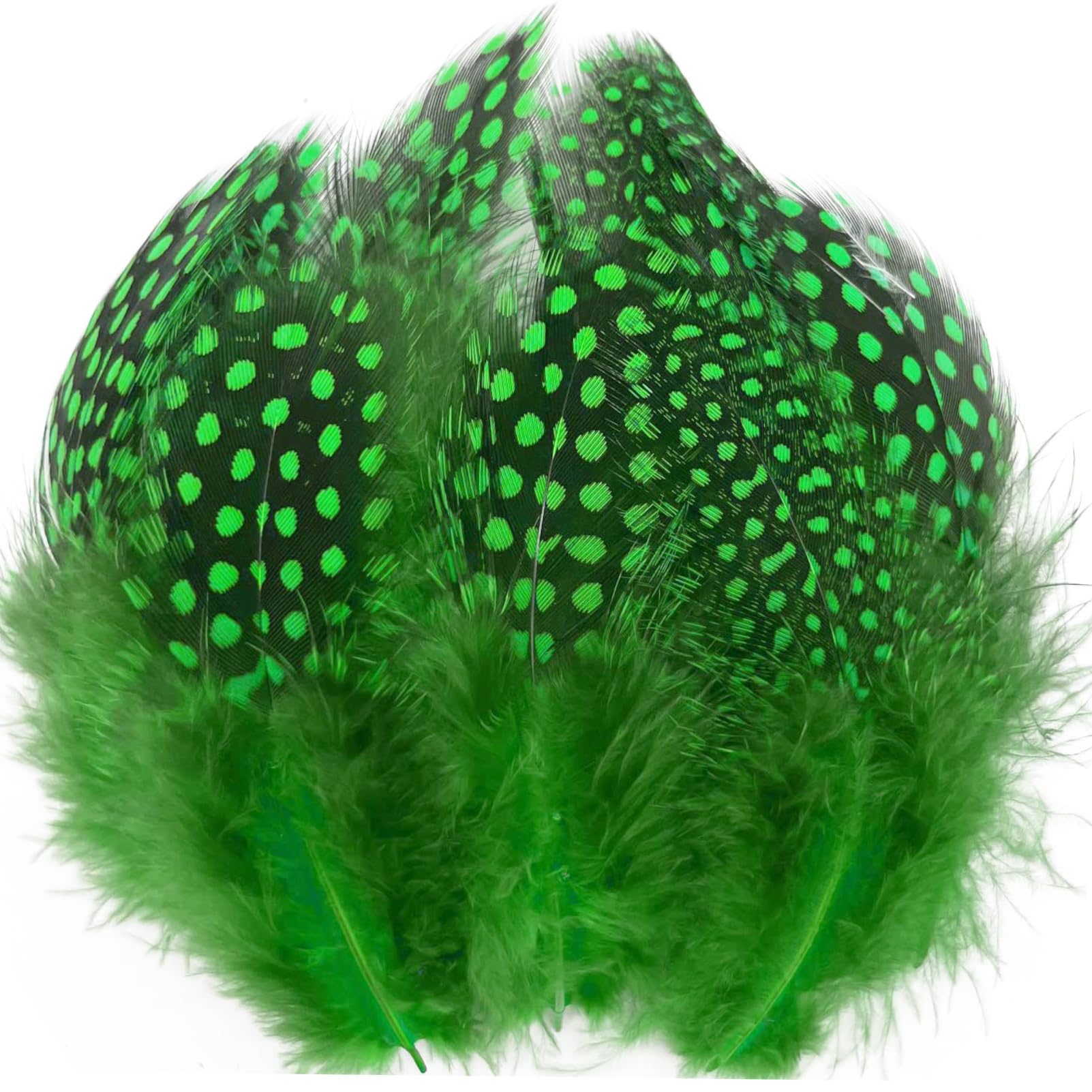 100pcs Green Spotted Feathers Guinea Pheasant Feather 3-6 Inches for Crafts Dream Catcher Jewelry Decoration, Colored Turkey Chicken Plume Feathers