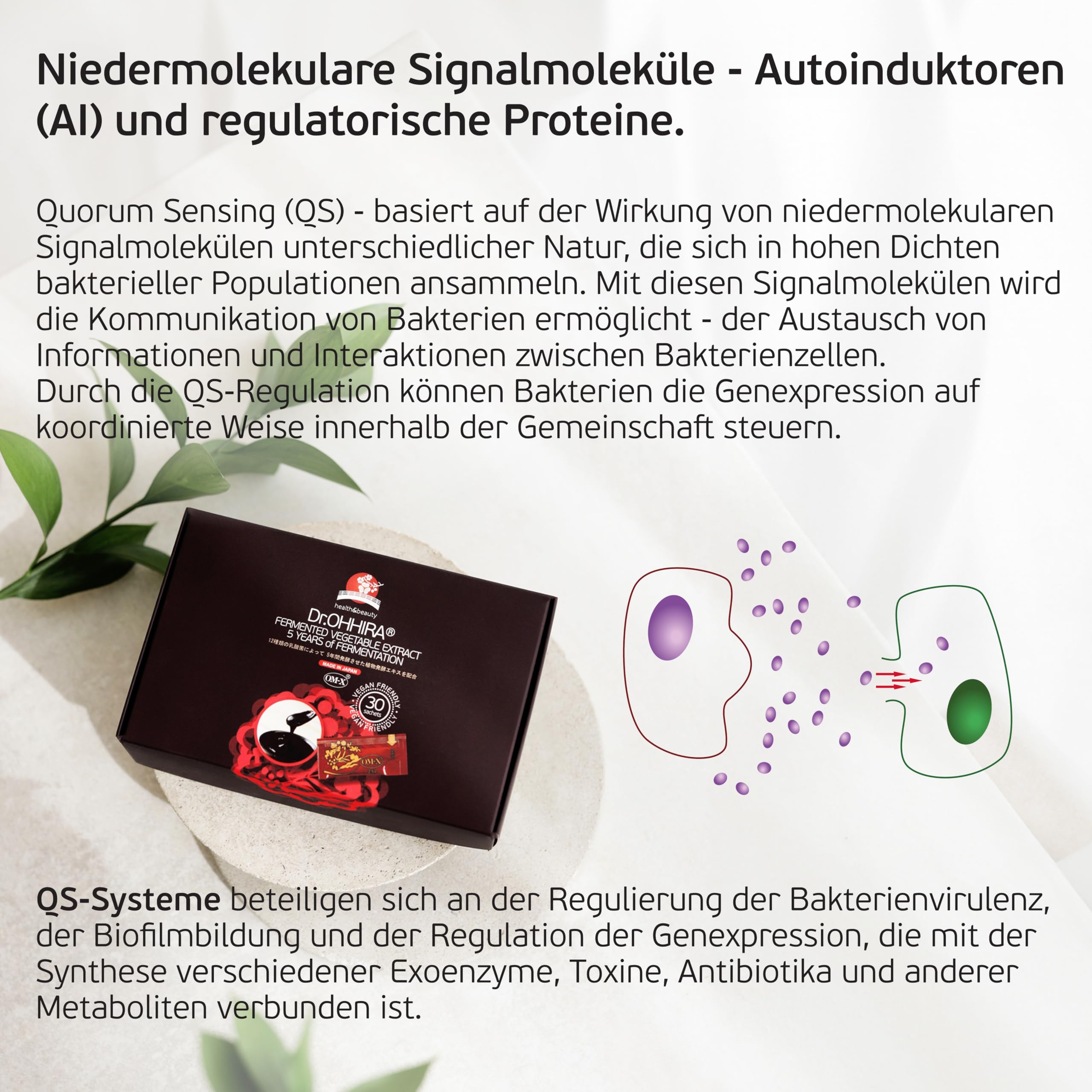 Postbiotika Darmflora & Stressbalance – Fermentierter Pflanzenextrakt OM-X® – Unterstützung der Darm-Hirn-Achse – 5 Jahre Fermentation – 30 Beutel | 3-in-1-Ergänzungsmittel für Darmgesundheit, Präbiotik, Postbiotikum OM-X®, 5 Jahre Gärung, nicht beheizt,