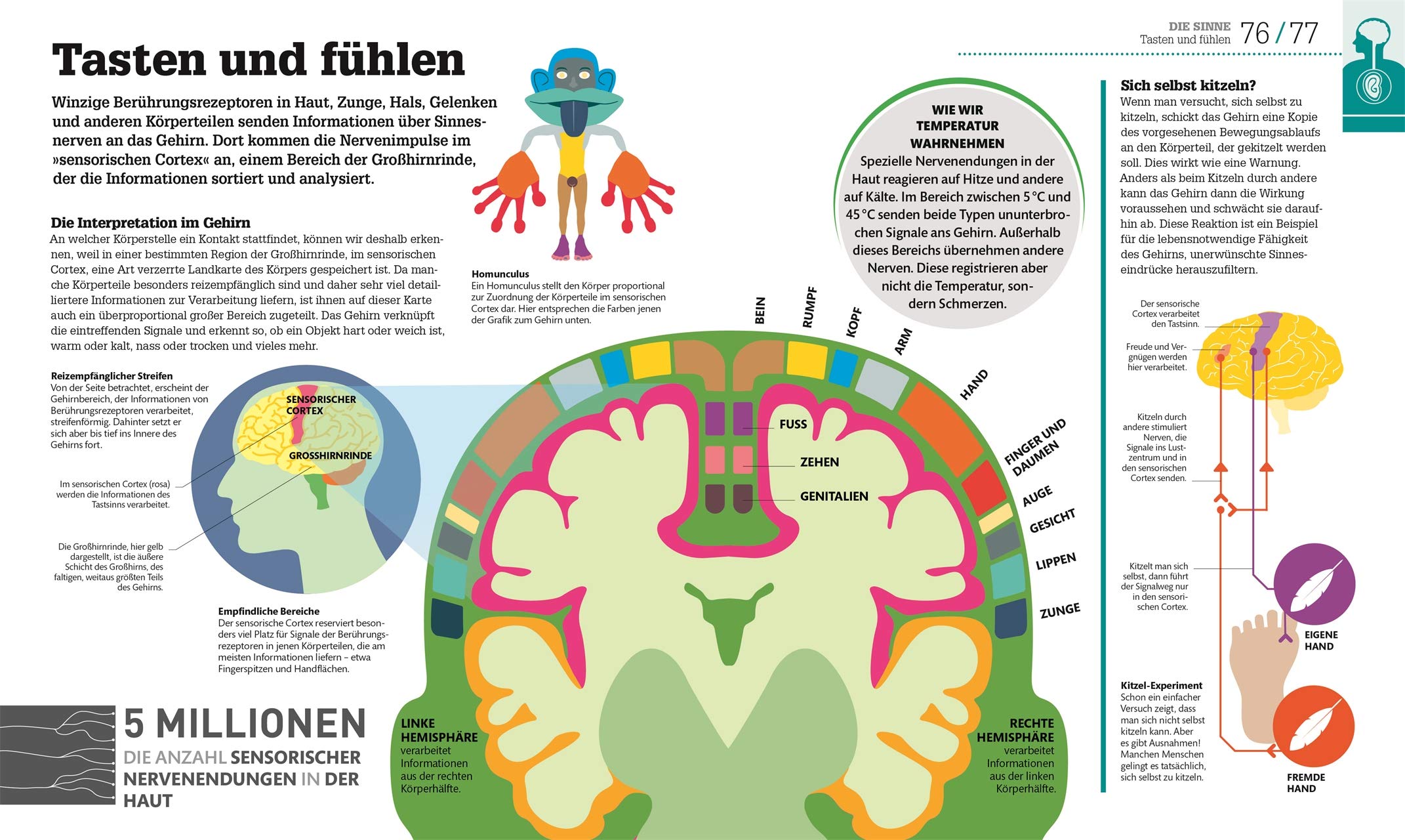 #dkinfografik. Der menschliche Körper: Und wie er funktioniert