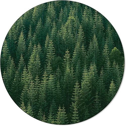 Miniatura 19 de Alfombra redonda de tortuga marina de 4 pies, colección de dibujos animados, alfombra circular (antideslizante), alfombras para niños, sala de