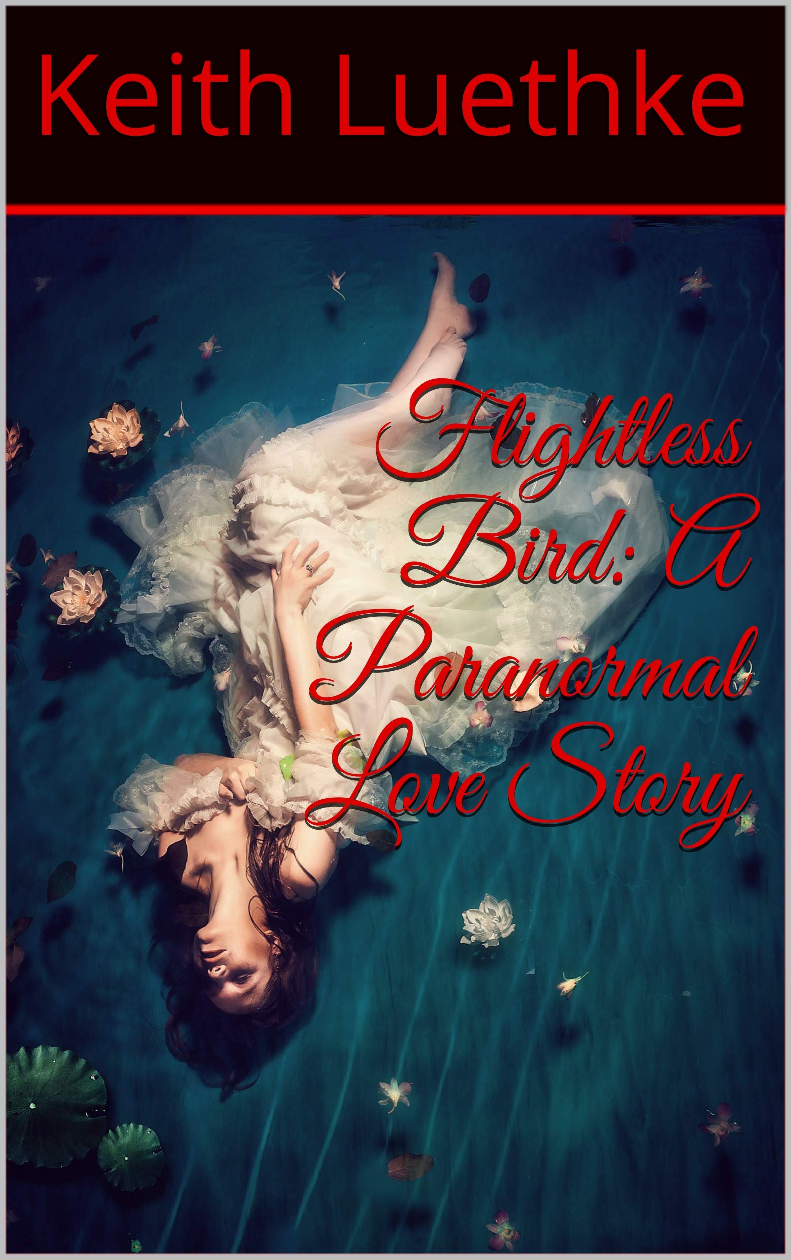 Cover of Flightless Bird: A Paranormal Love Story