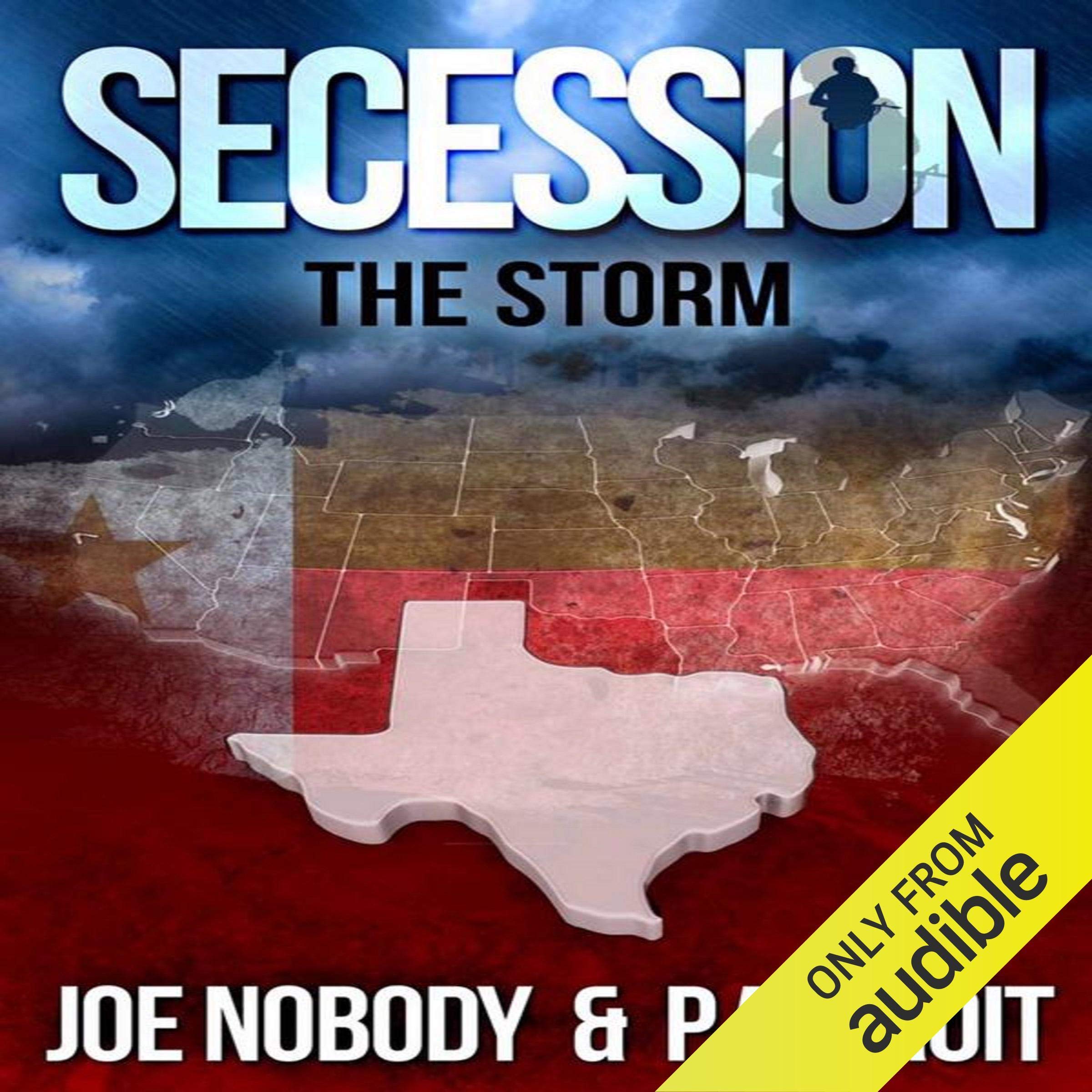 Cover art for Secession: The Storm