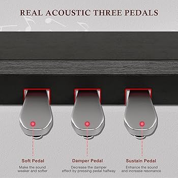 Amazon.com: UMOMO 88 Key Full Size Digital Piano Electric