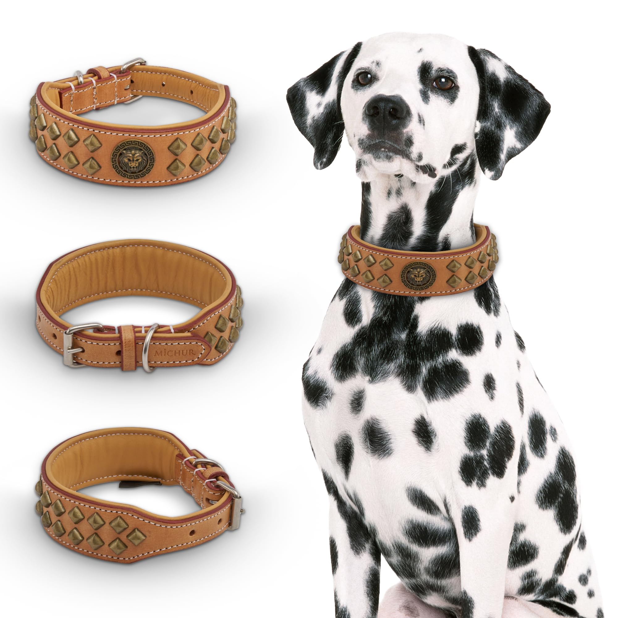MICHUR Diego Hundehalsband Leder Beige | Lederhalsband, Löwenkopf Applikation, Flachnieten in Alt-Messing Optik, Braun Beige Gold, Verschiedene Größen erhältlich